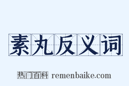 素丸反义词是什么意思的图片